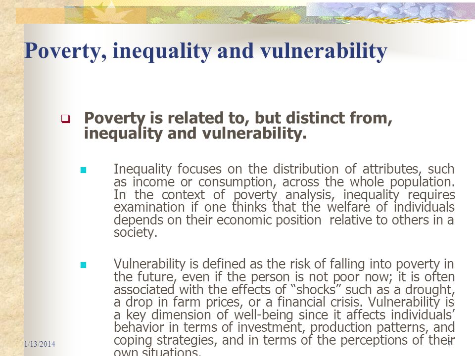 Poverty and inequality analysis report